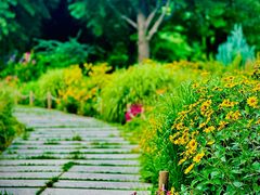 -国家植物园