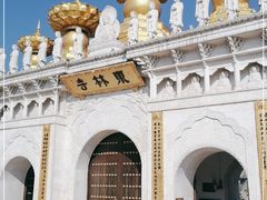 -上海东林寺(金山区)