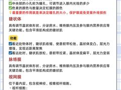 -优视觉视光中心•青少年近视防控(新世界中心写字楼店)