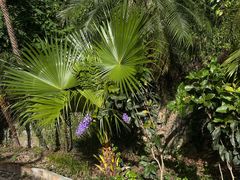 -澳门圣地牙哥古堡酒店