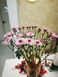 -水沐莲清瑜伽·普拉提