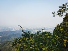 -紫金山山顶公园