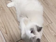 -美联众合24小时·皮肤科·外科·全科诊疗中心(华苑分院)