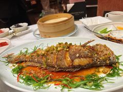 -明阁 Ming Court(广州朗豪酒店)