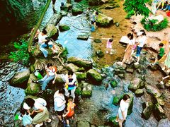 -重庆彩云湖湿地公园