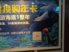 -太平洋海底世界