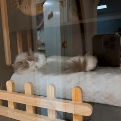 -花系美·美甲美睫精品店