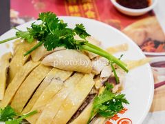 振鼎鸡-振鼎鸡(天钥桥路店)