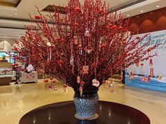 -厦门悦华酒店