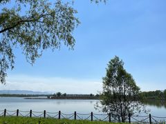 -野鸭湖国家湿地公园