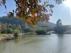 -南沙蒲洲花园