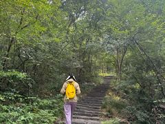 -紫金山山顶公园