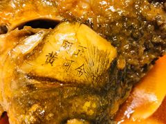 -阿五黄河大鲤鱼(英协路店)
