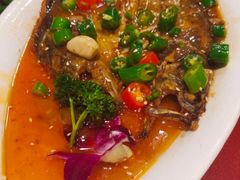 红烧臭鳜鱼-赵小姐丨新中餐(曲江店)