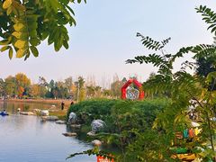 -白鹭湾湿地公园