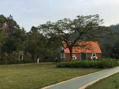 -南沙蒲洲花园