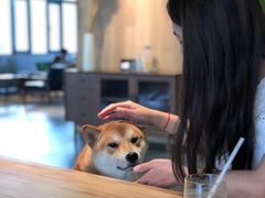 -山下C5cafe(惠通时代广场店)