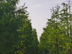 -青山湖景区