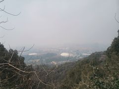 -杭州半山国家森林公园