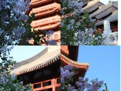 -河北省园博园