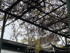 -裕兴记·三虾面(西北街总店)