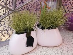 -首开·龙湖成都西宸天街