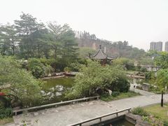 -广州神农草堂中医药博物馆