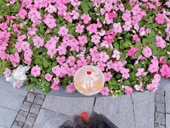 -COFFEE HOLIC(朝外SOHO店)
