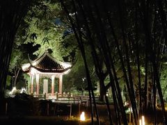 -望江楼公园