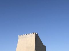 -金塔沙漠胡杨林景区