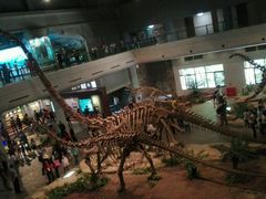 -自贡恐龙博物馆