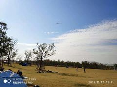 -春花秋色城市公园