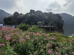 -广州市石门国家森林公园