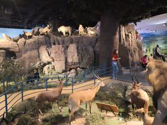 -陕西自然博物馆