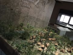 -上海崧泽遗址博物馆