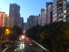-杨记隆府(南坪店)