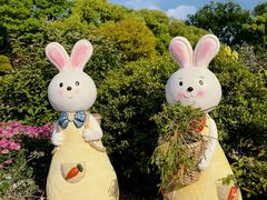 -上海共青森林公园