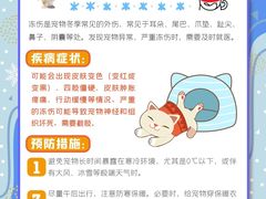 -瑞派申生动物医院·24H夜诊·国际动物医疗中心·骨外科(吴中路店)