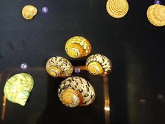 -青岛贝壳博物馆