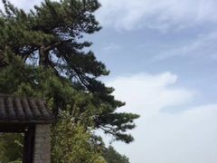 -秦岭风景区