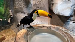 -Zoolung Zoolung动物主题公园(海信广场店)