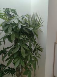 -妈妈时光机医疗产后修复(南山茂业百货店)