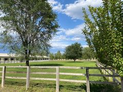 -北京群众马术培训基地