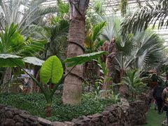 -呀路古热带植物园
