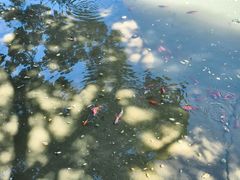 -建水文庙
