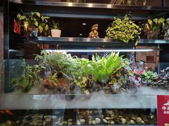 -牛品福潮汕牛肉火锅(旺庄店)