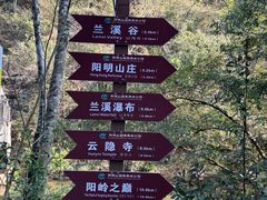 -江西阳明山国家森林公园