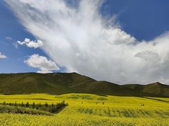 -扁都口生态休闲旅游区