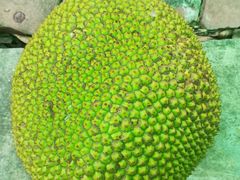 大树菠萝-润记农家菜