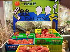 -大龙燚·旷野鲜火锅(广州首店)